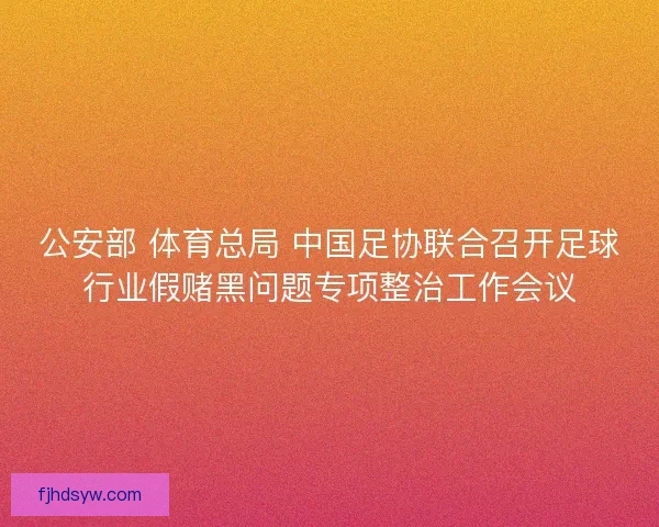 公安部 体育总局 中国足协联合召开足球行业假赌黑问题专项整治工作会议