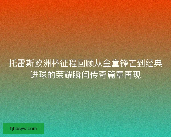 托雷斯欧洲杯征程回顾从金童锋芒到经典进球的荣耀瞬间传奇篇章再现